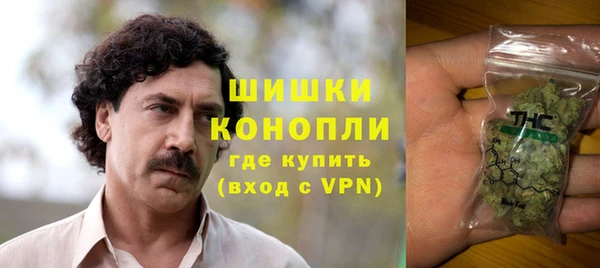 дживик Гусев
