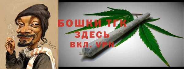 дживик Гусев