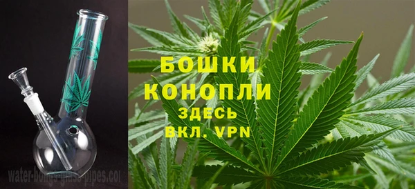 дурь Гусиноозёрск