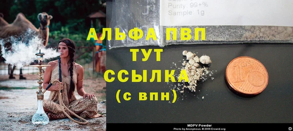 дживик Гусев