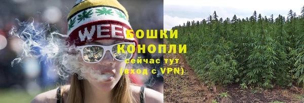дживик Гусев