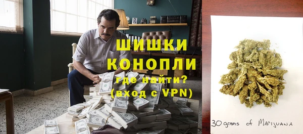 дживик Гусев