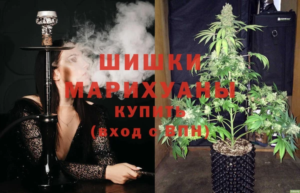 дживик Гусев