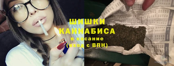 дурь Гусиноозёрск