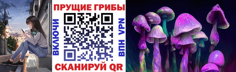 Галлюциногенные грибы MAGIC MUSHROOMS  Купить где  Моршанск 