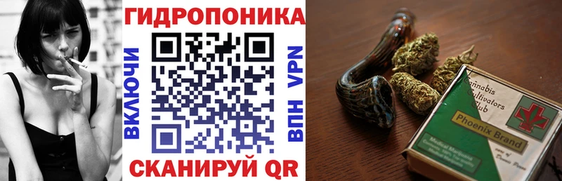 Купить  Моршанск  Бошки Шишки OG Kush 